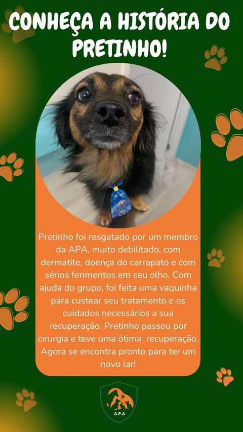 Apresentação da história do Pretinho e de sua recuperação